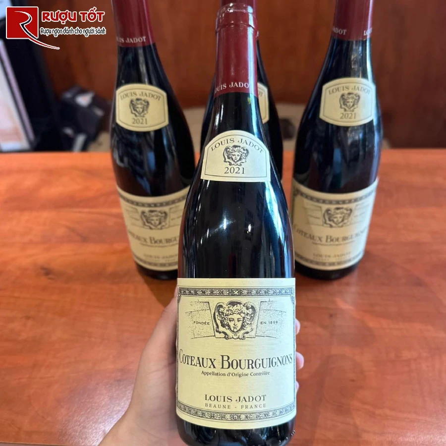 ruou vang coteaux bourguignons louis jadot cao cap