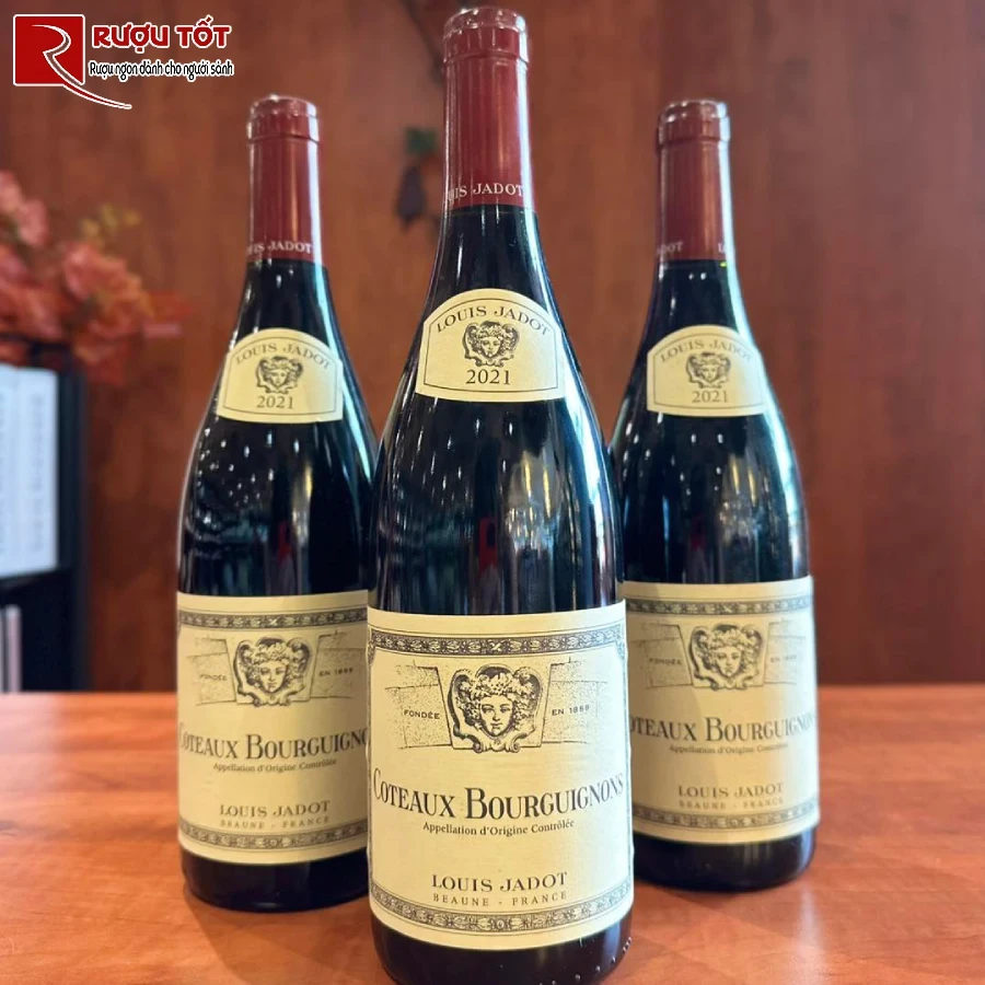ruou vang coteaux bourguignons louis jadot chinh hang