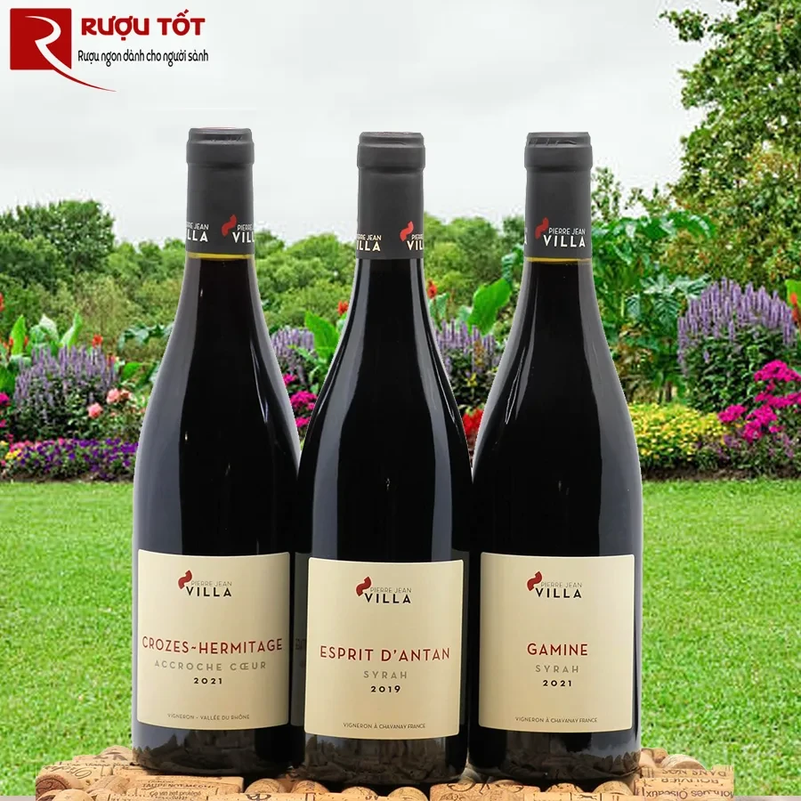Rượu vang Crozes Hermitage Accroche Coeur