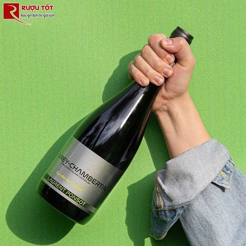 Rượu Vang Đỏ Gevrey Chambertin Lauren Ponsot Cuvee De lAulne