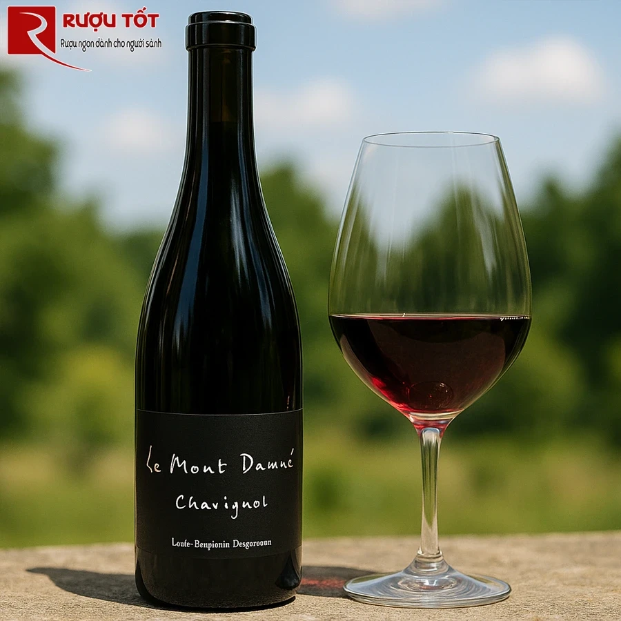 Rượu vang đỏ Le Mont Damne Sancerre