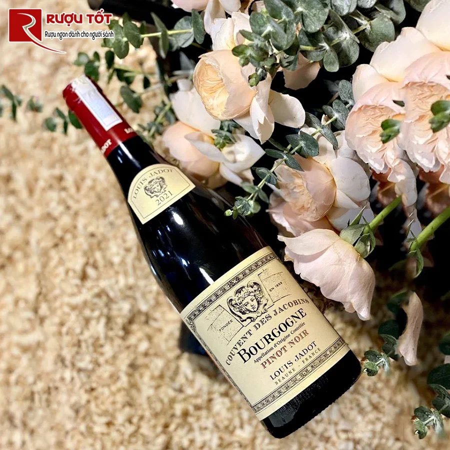 Rượu vang đỏ Louis Jadot Bourgogne
