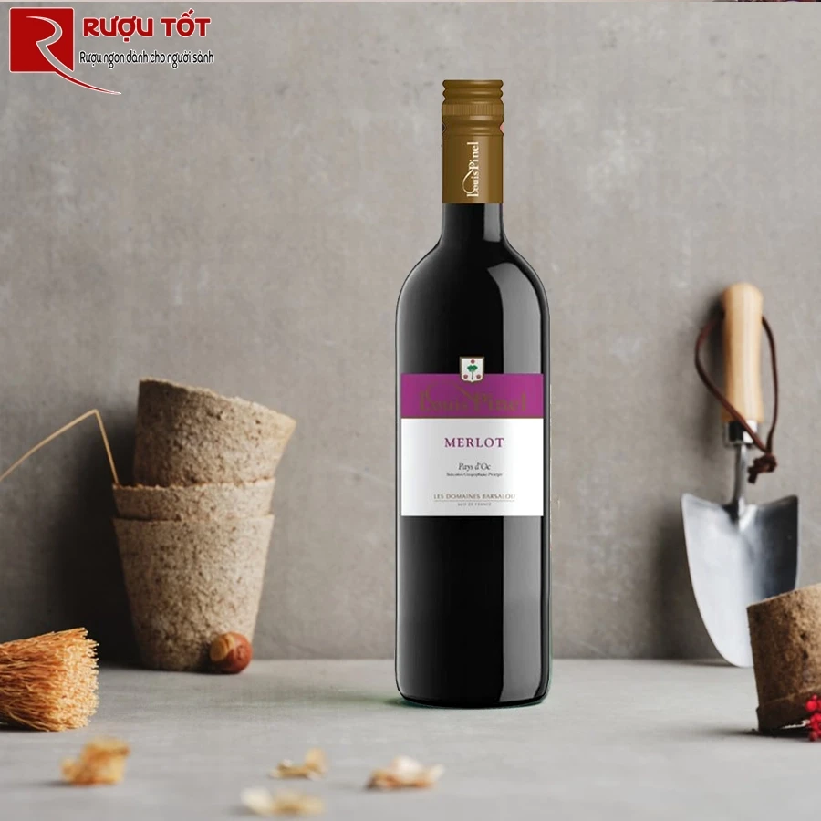 Rượu vang đỏ Louis Pinel Merlot