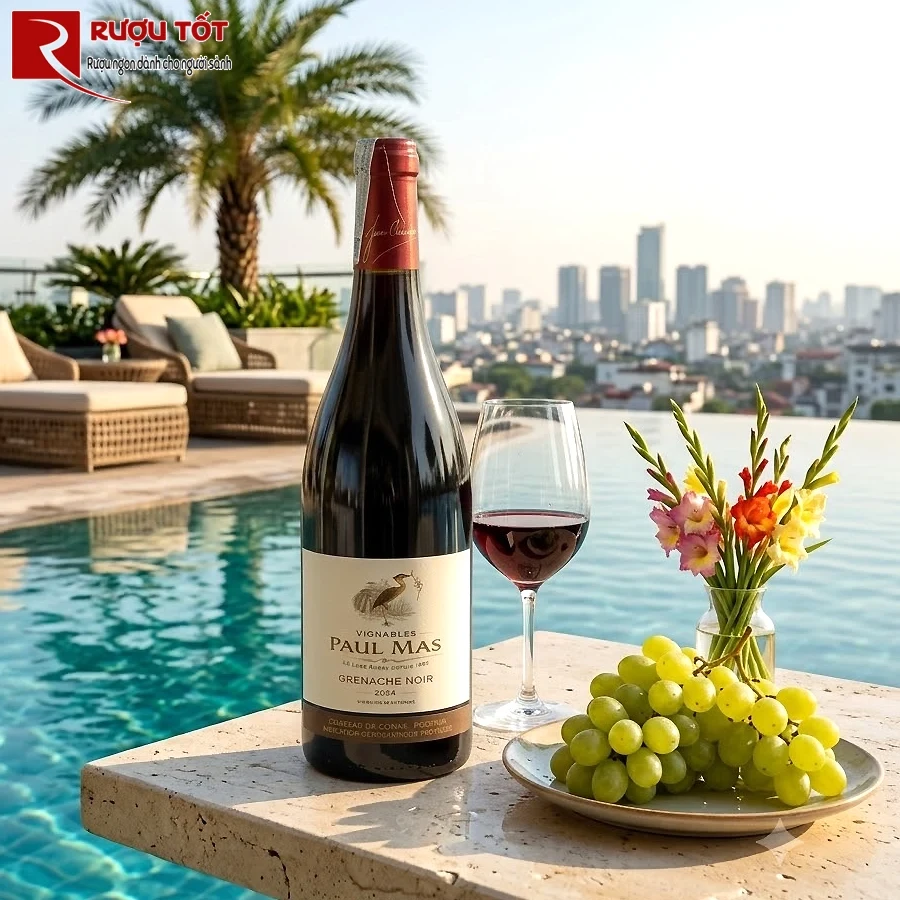 Rượu vang đỏ Paul Mas Grenache Noir