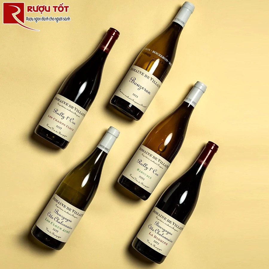 Rượu vang Domaine A Et P de Villaine Aligote Bouzeron