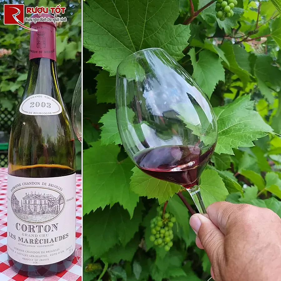 ruou vang domaine chandon de briailles corton grand cru