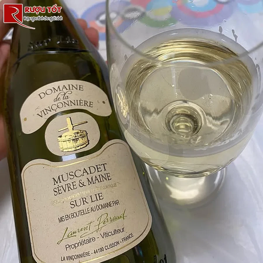 ruou vang domaine de la vinconniere muscadet sevre et maine sur lie