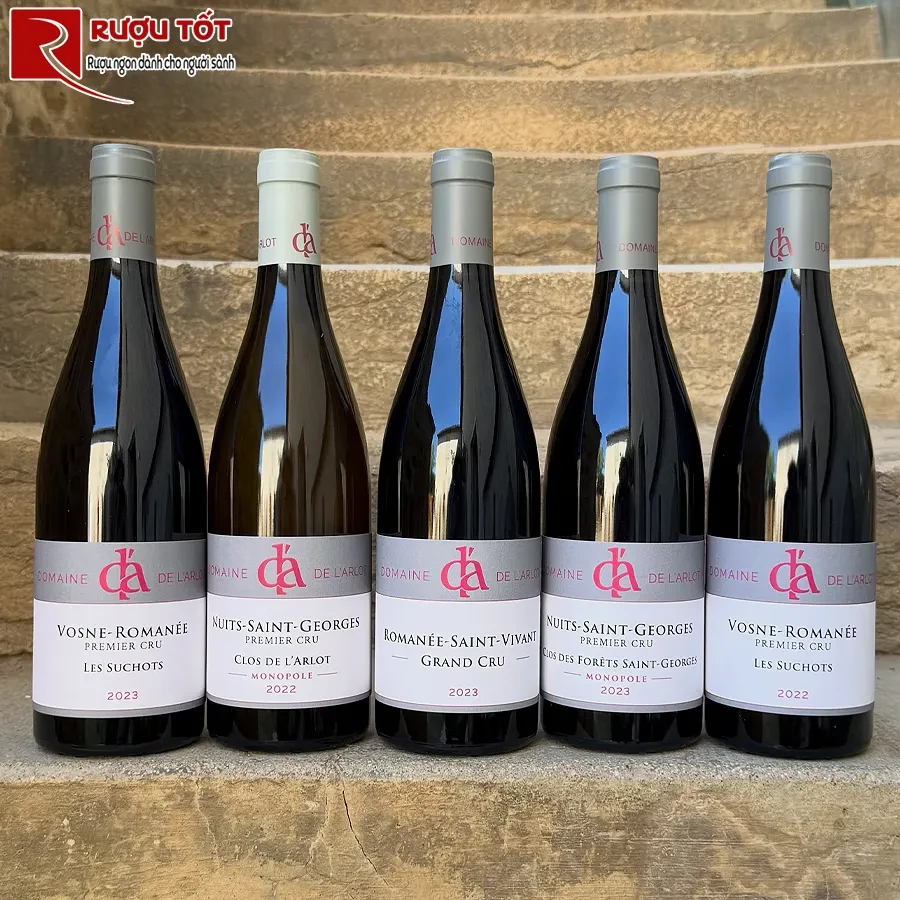 Rượu vang Domaine de LArlot Cote De Nuits Villages