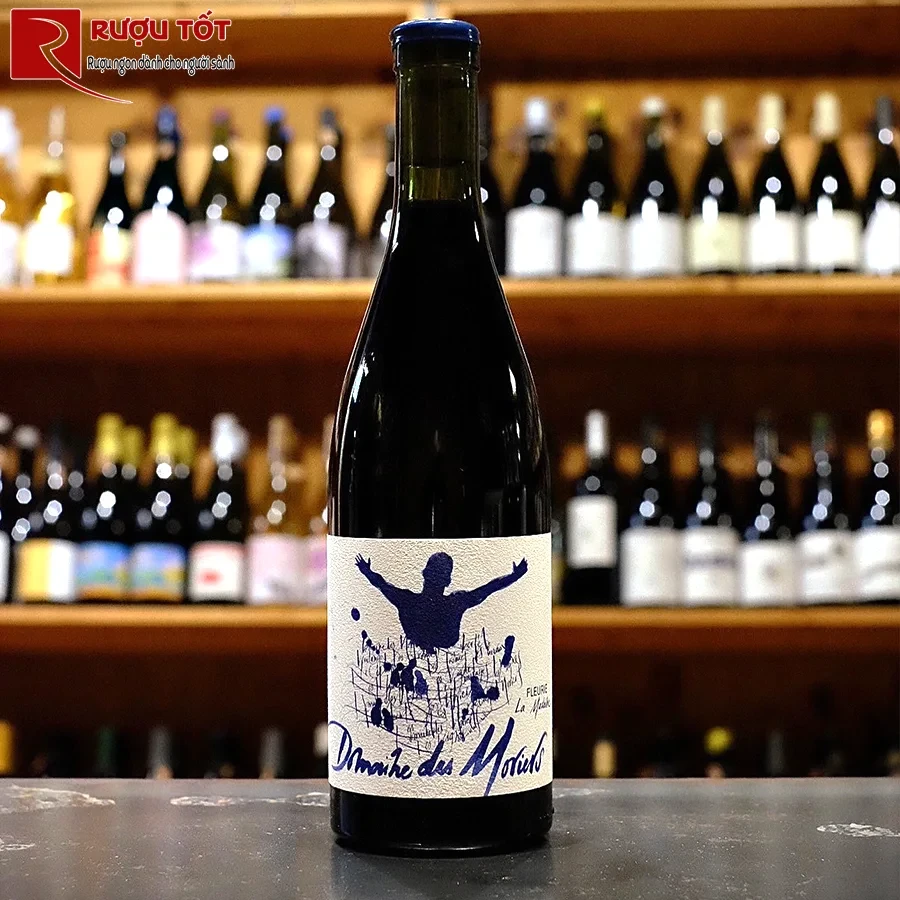 Rượu vang Domaine de Moriers