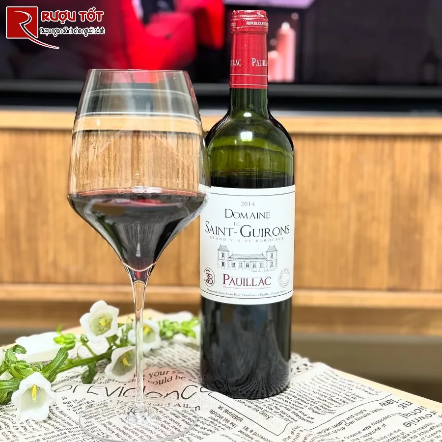 ruou vang domaine de saint guirons chinh hang