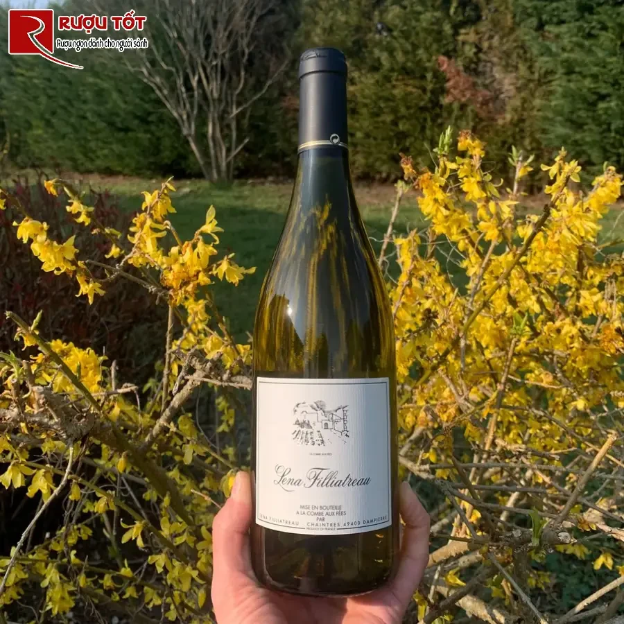 ruou vang domaine filliatreau lena filliatreau saumur 750ml 12,5%