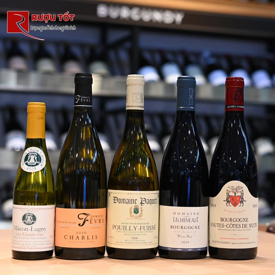 Rượu vang Domaine Lecheneaut Bourgogne