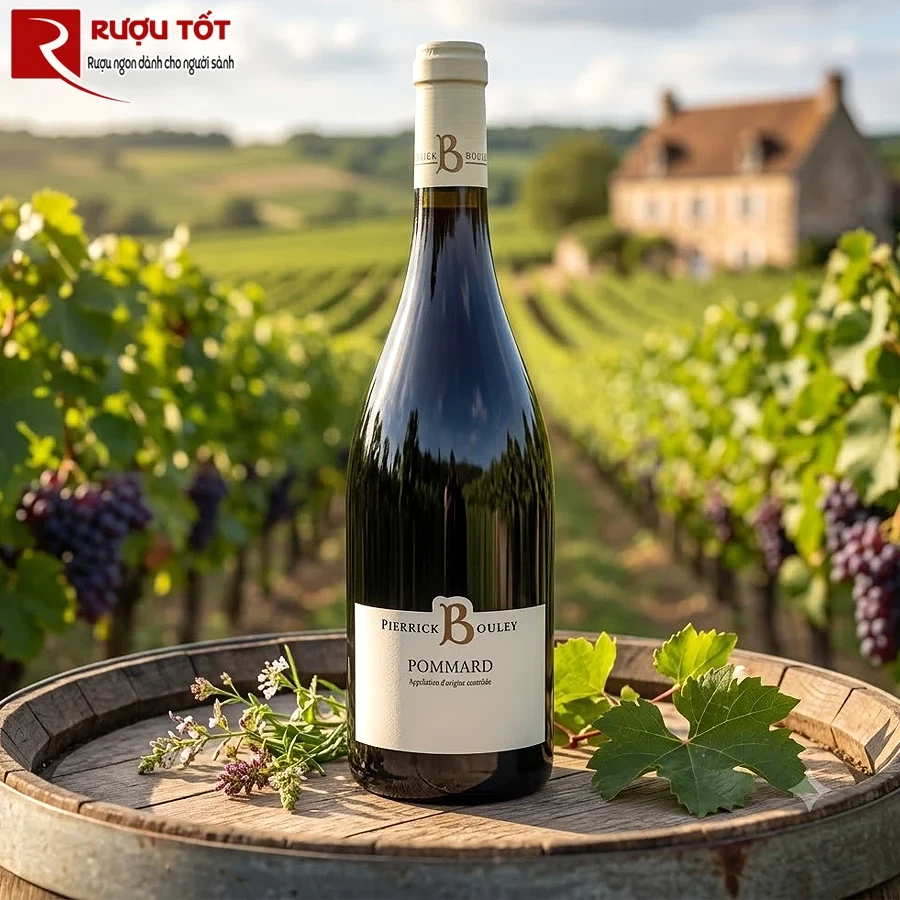 Rượu vang Domaine Pierrick Bouley Pommard