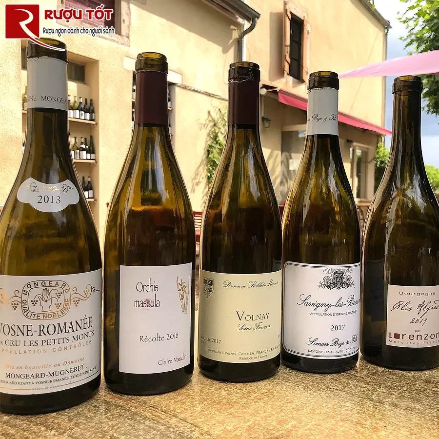 Rượu vang Domaine Pierrick Bouley Volnay