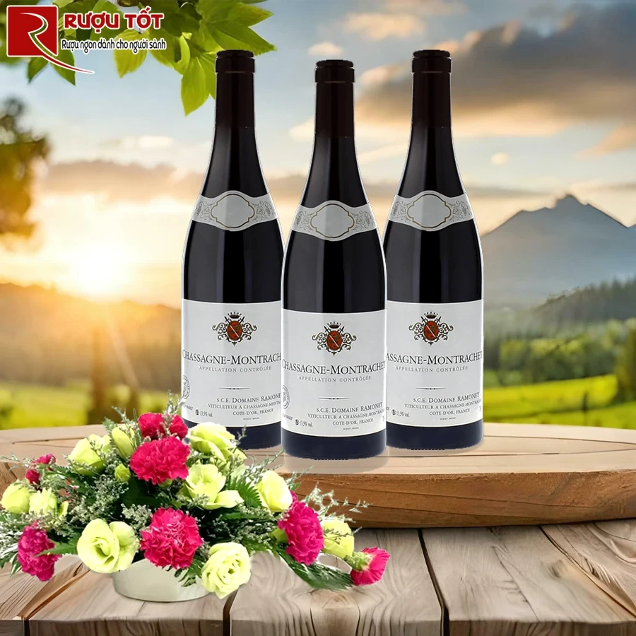 Rượu vang Domaine Ramonet Chassagne Montrachet