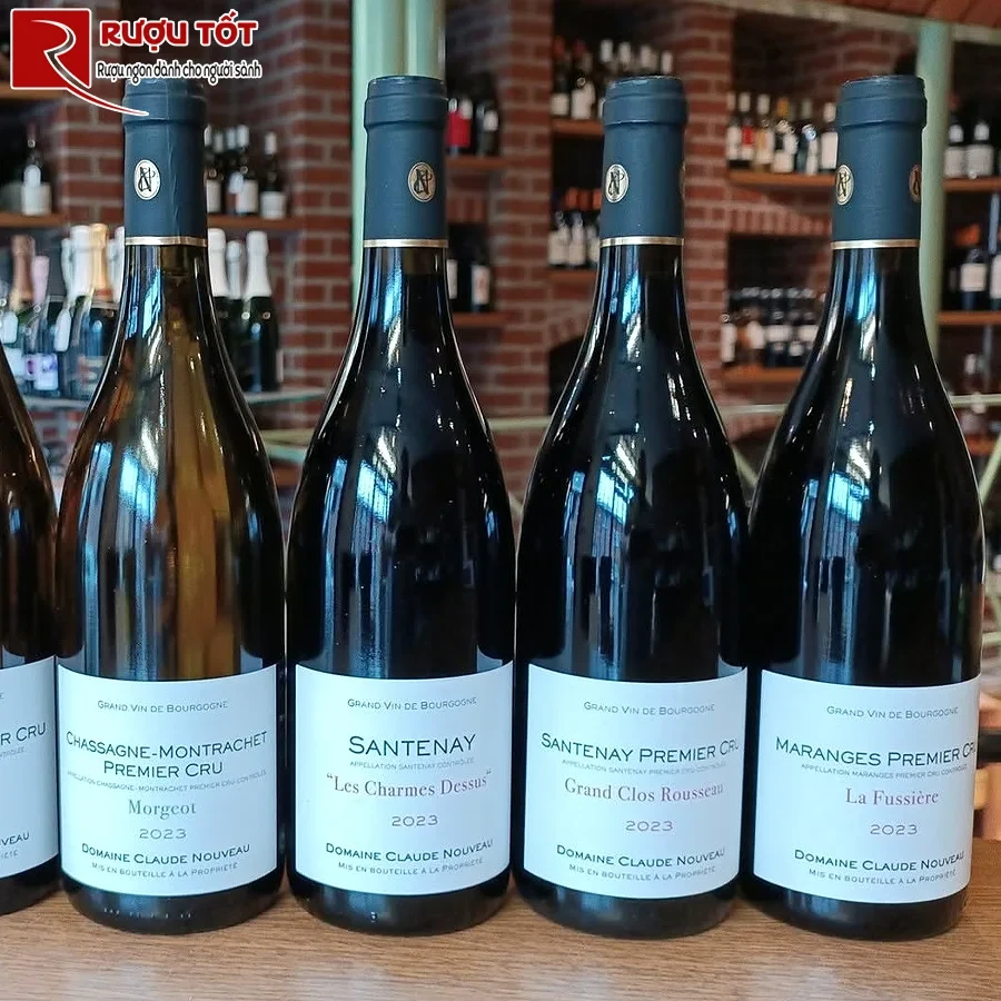 Rượu vang Domaine Sylvain Morey Santenay 1er Cru