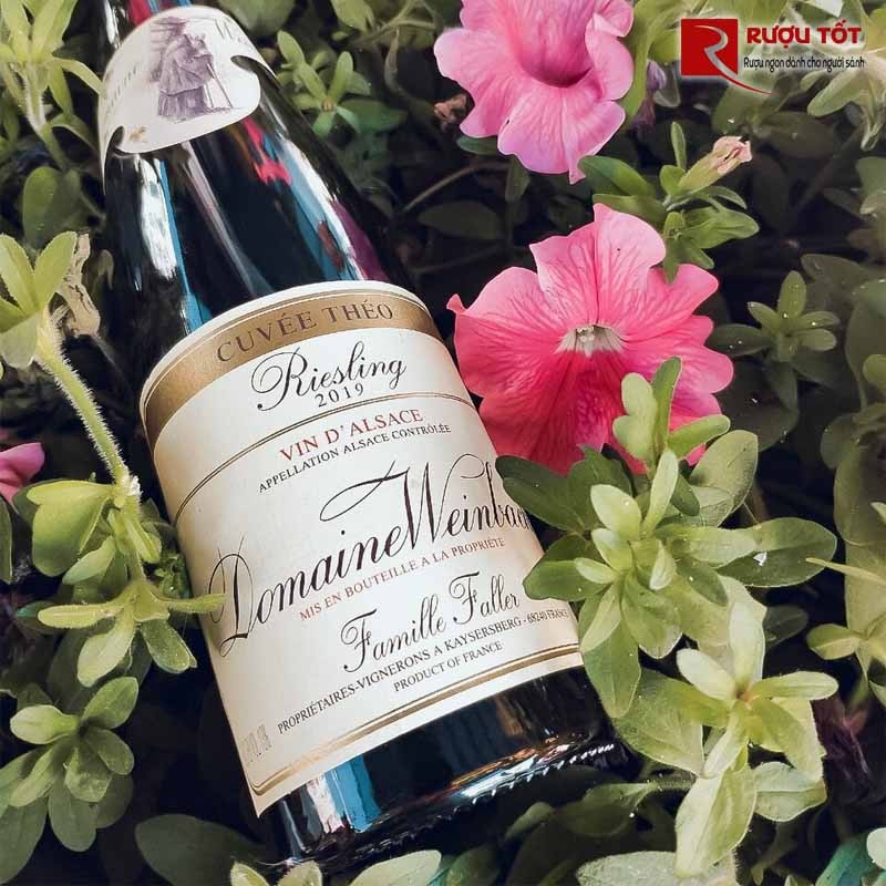 Domaine Weinbach Cuvee Theo Riesling