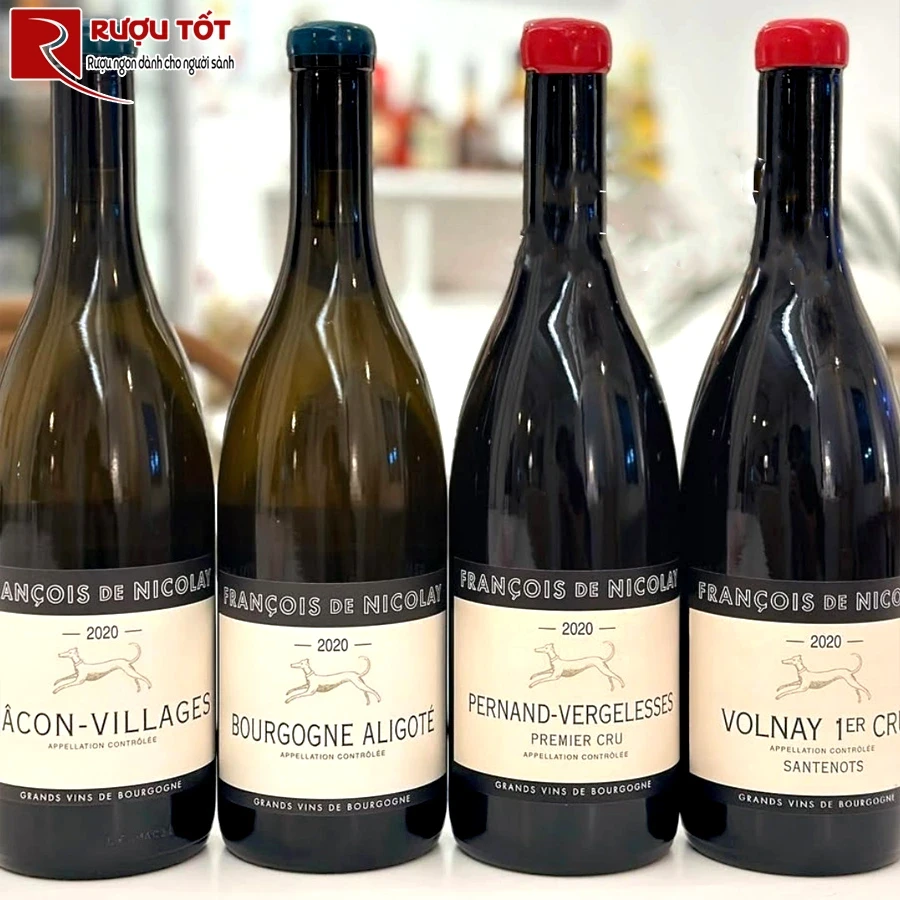 Rượu vang Francois de Nicolay Macon Villages