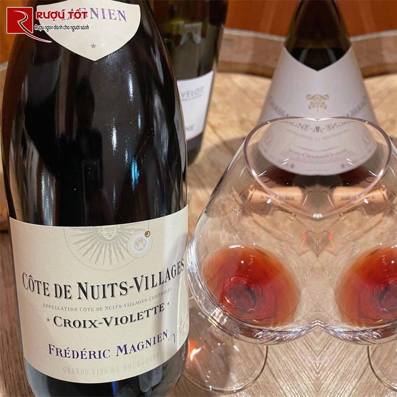 Rượu Vang Frederic Magnien Croix Violette Cote de Nuits Villages
