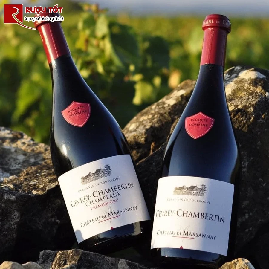 ruou vang gevrey chambertin bel air premier cru chinh hang