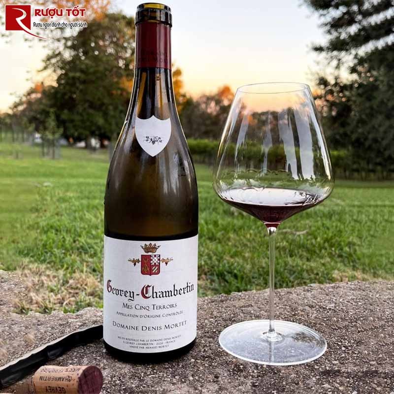 Gevrey Chambertin Domaine Denis Mortet Mes Cinq Terroirs