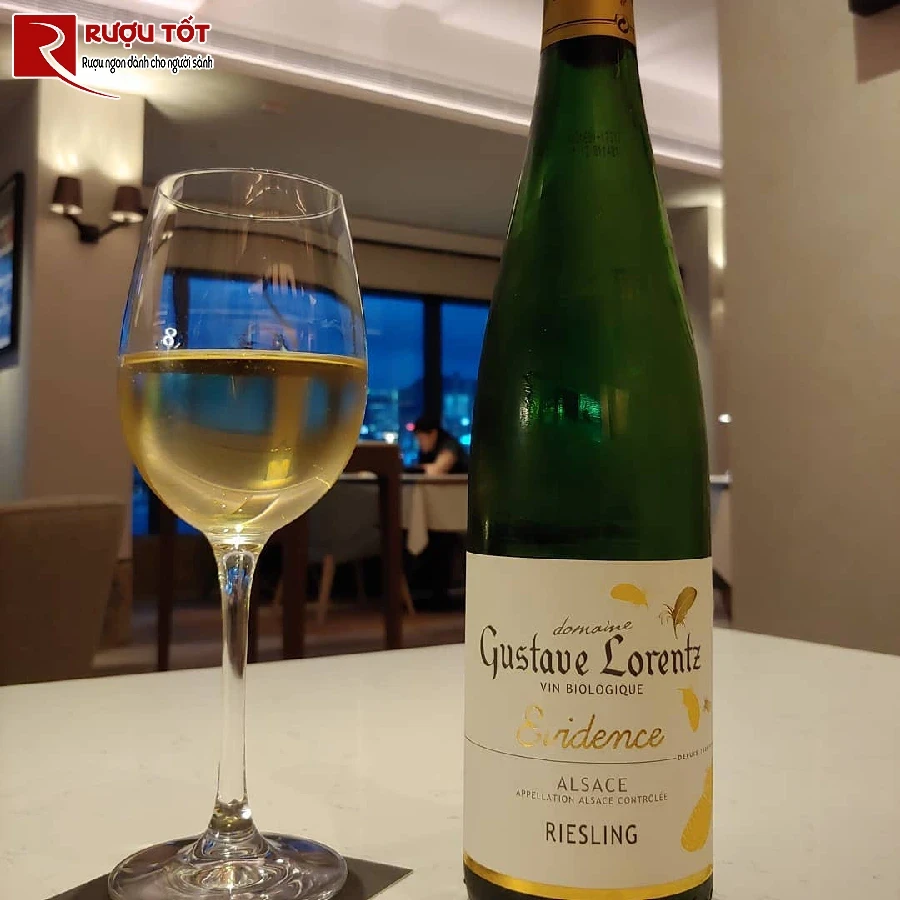 ruou vang gustave lorentz evidence riesling