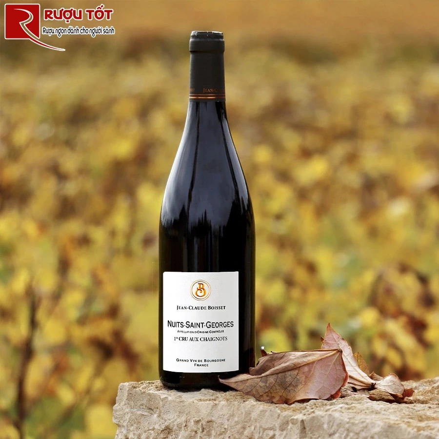 Rượu vang Jean Claude Boisset Nuits Saint Georges