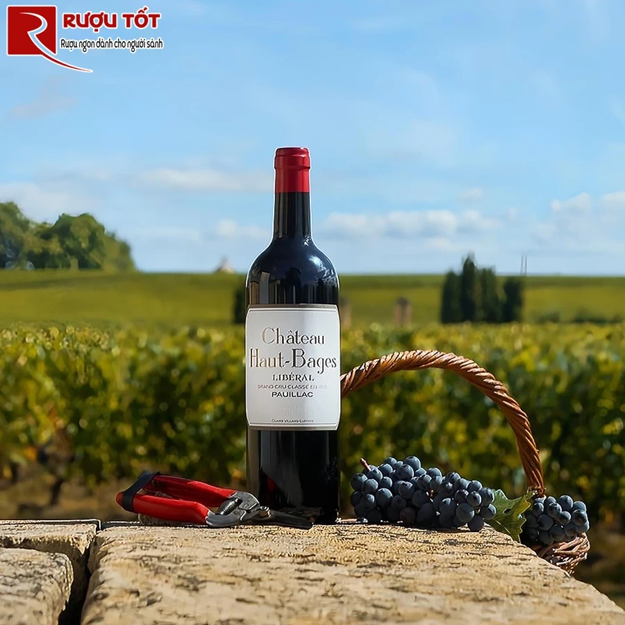 Rượu vang La Chapelle de Bages