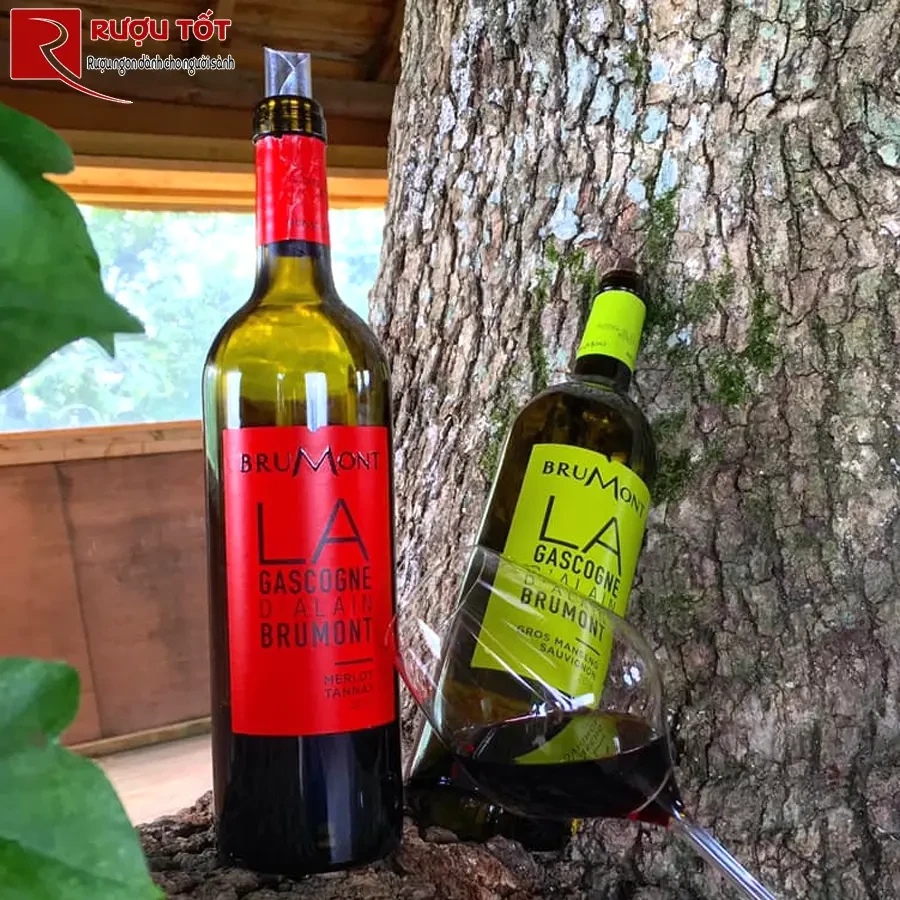 Rượu vang La Gascogne Cotes de Gascogne