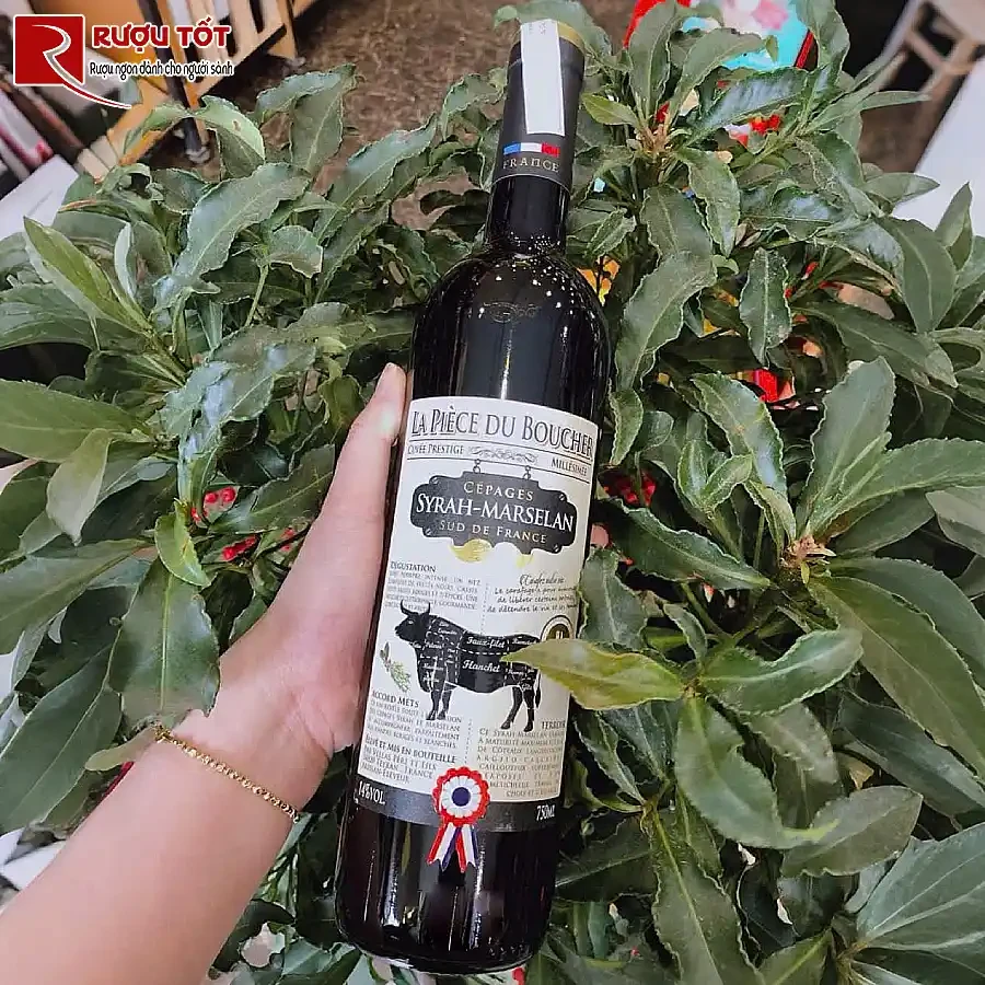 ruou vang la piece du boucher cepages syrah marselan