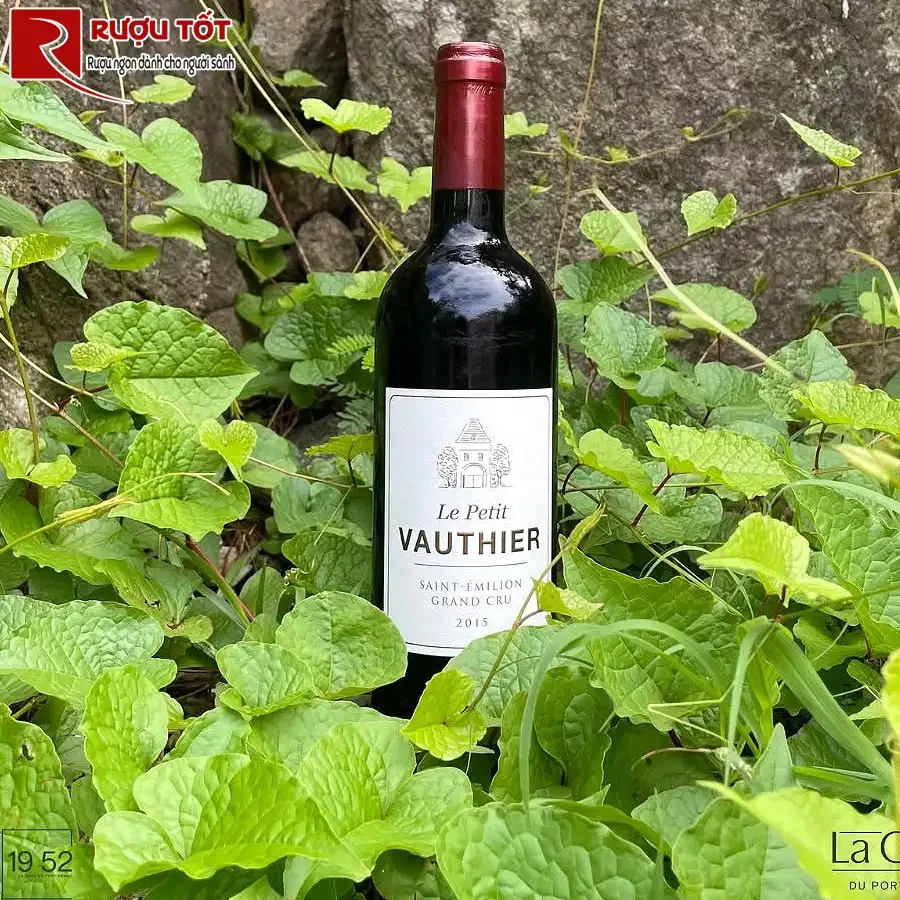 Rượu vang Le Petit Vauthier Saint Emilion Grand Cru