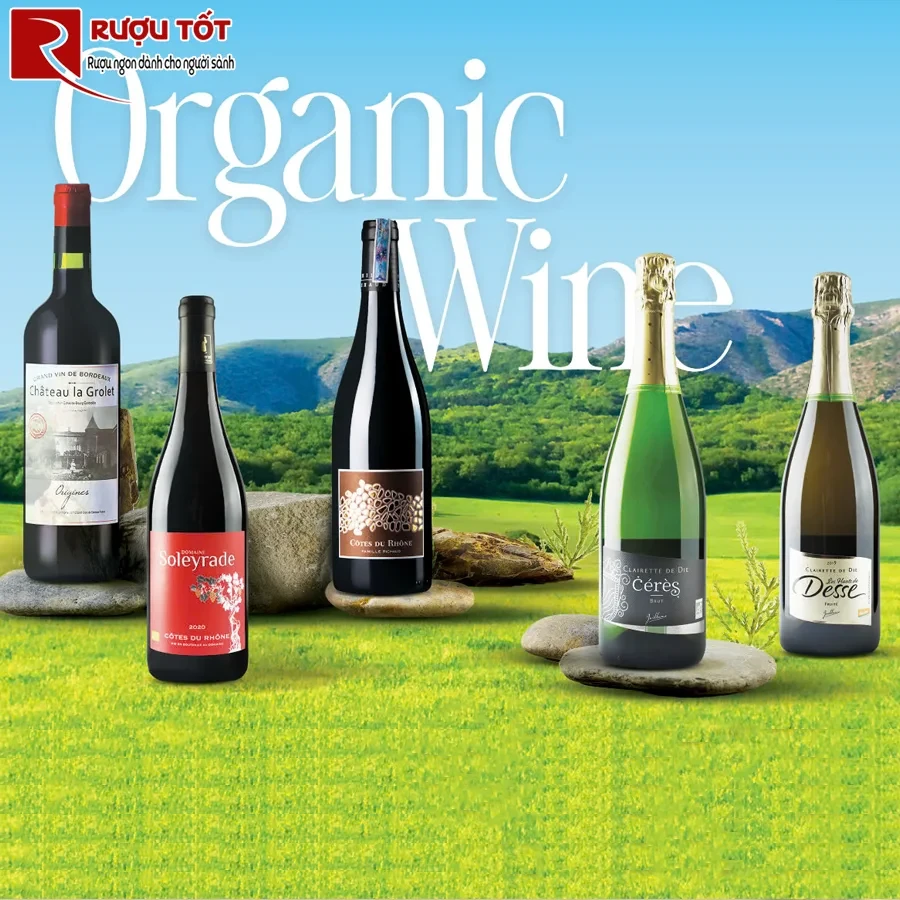 Rượu vang Les Hauts de Desse Clairette Die Fruite