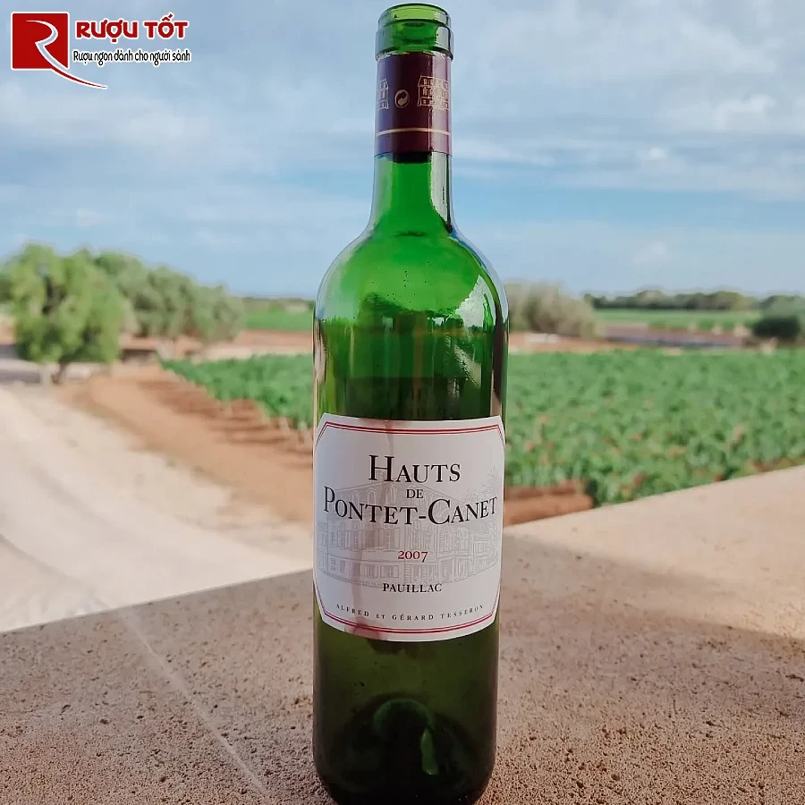 ruou vang les hauts de pontet canet pauillac