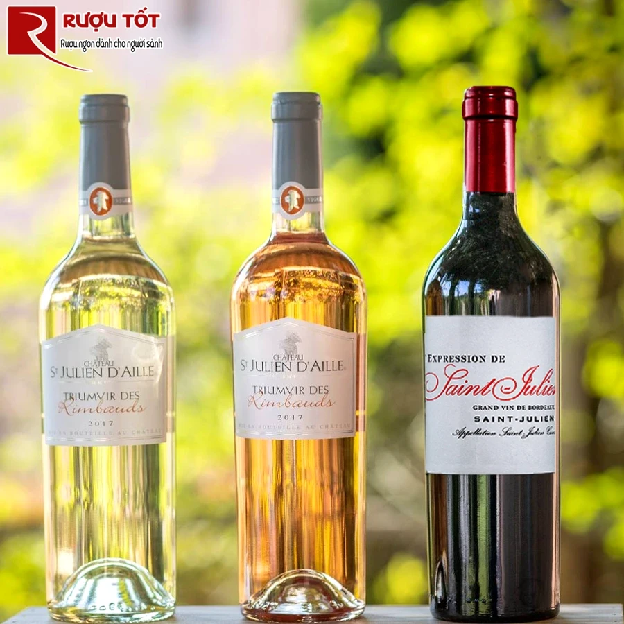 Rượu vang LExpression de Saint Julien