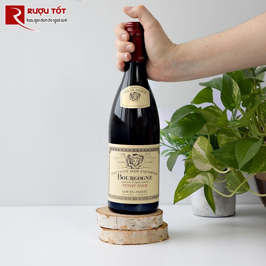 Rượu vang Louis Jadot Bourgogne