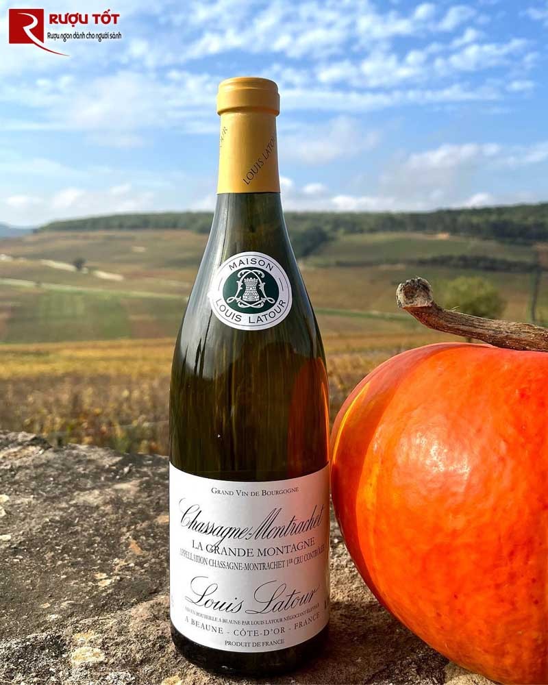 Chassagne Montrachet La Grande Montagne