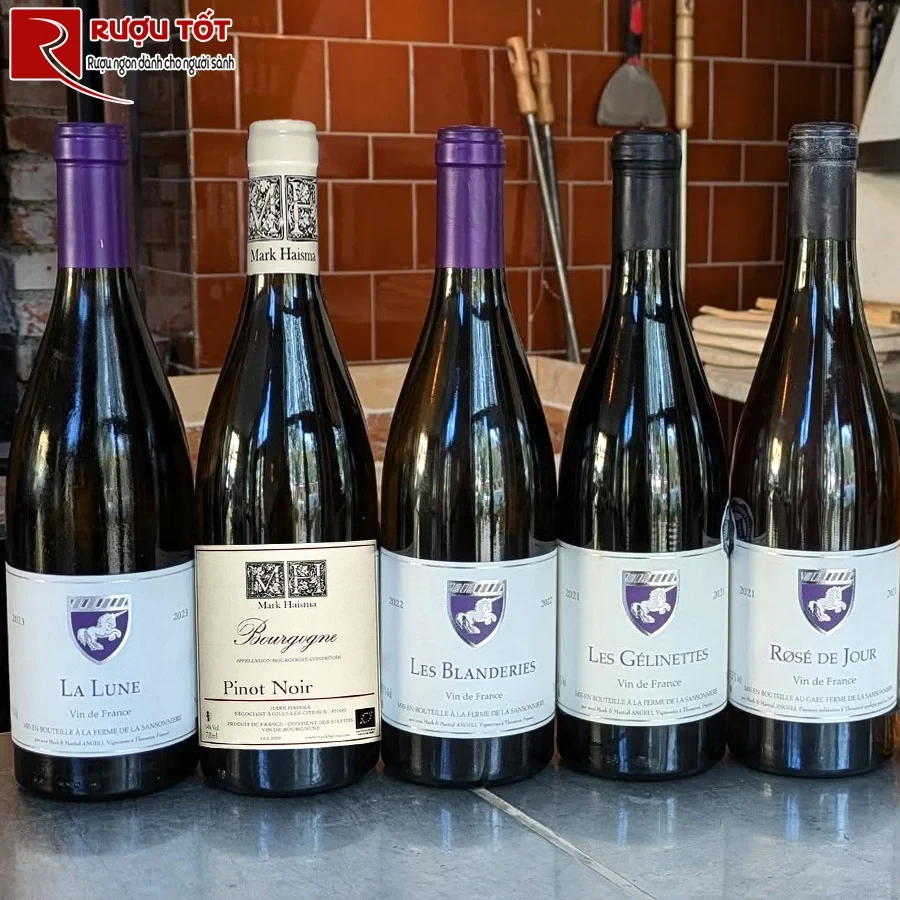 Rượu vang Mark Haisma Bourgogne Pinot Noir