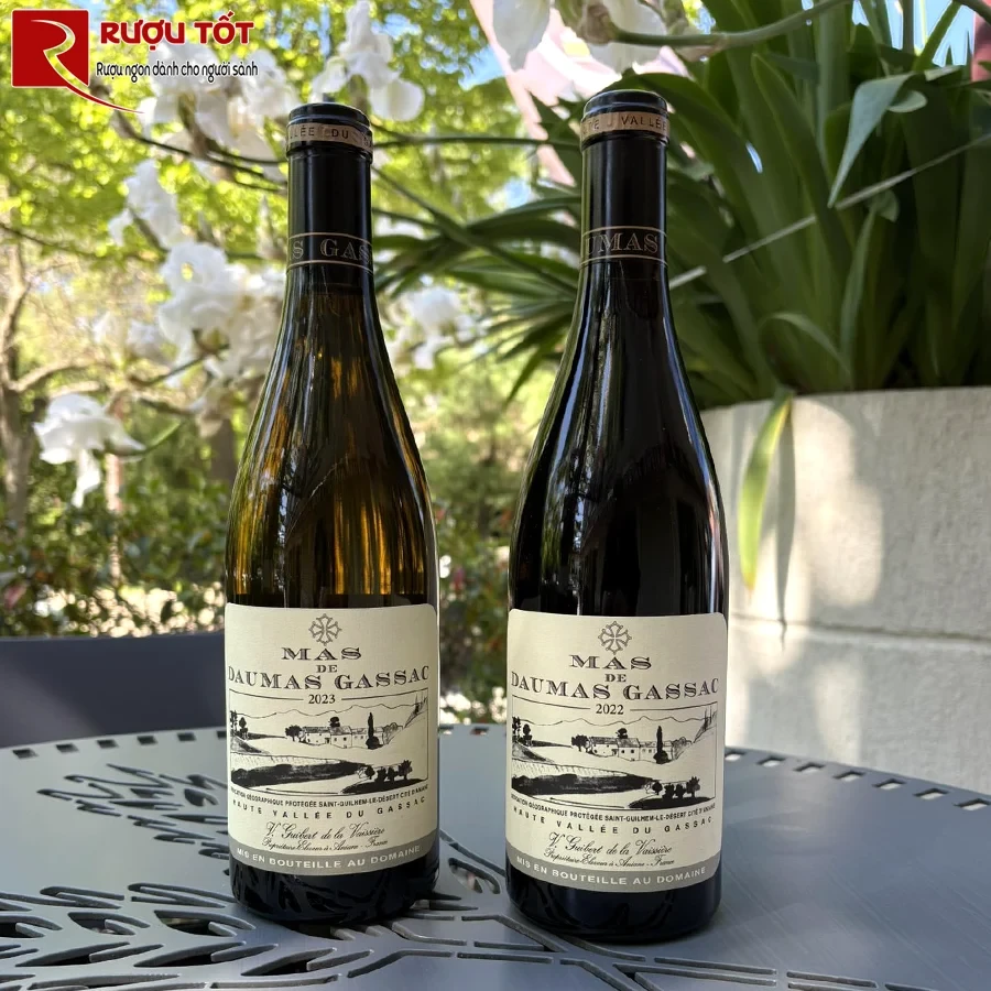 Rượu vang Mas de Daumas Gassac Blanc