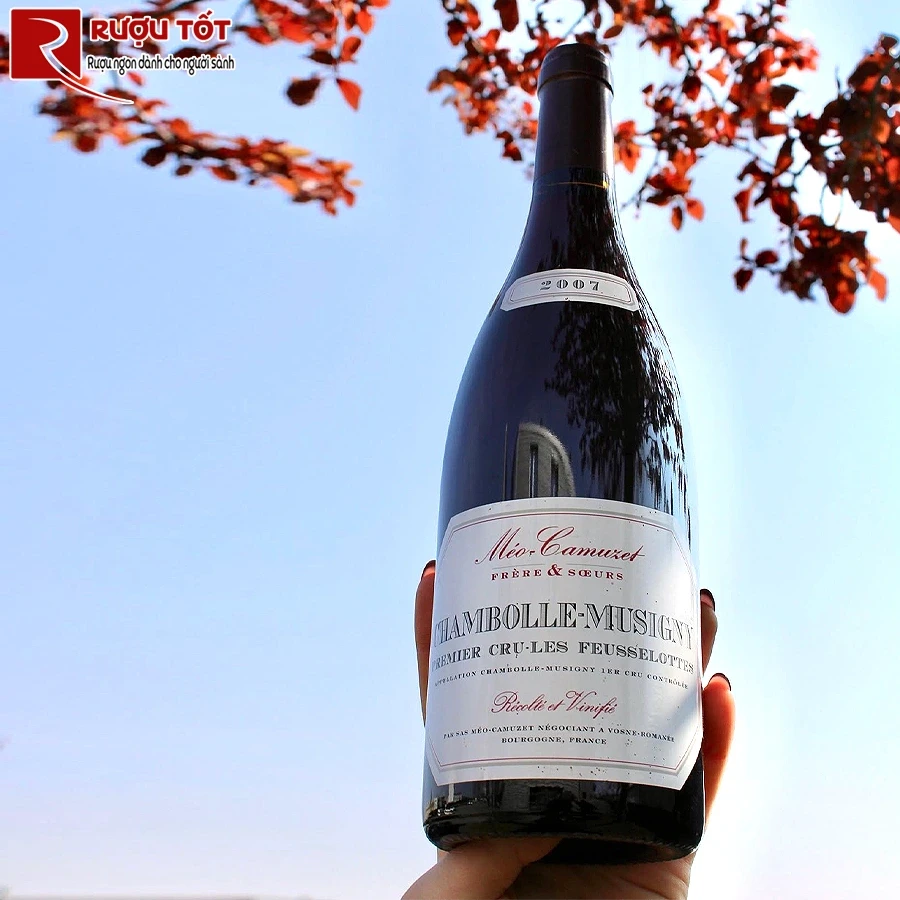 Rượu vang Meo Camuzet Chambolle Musigny