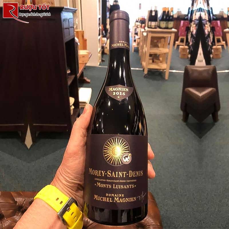 Rượu Vang Michel Magnien Morey Saint Denis Monts Luisants