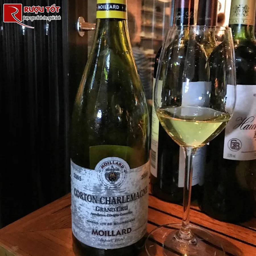 ruou vang moillard corton charlemagne grand cru gia tot