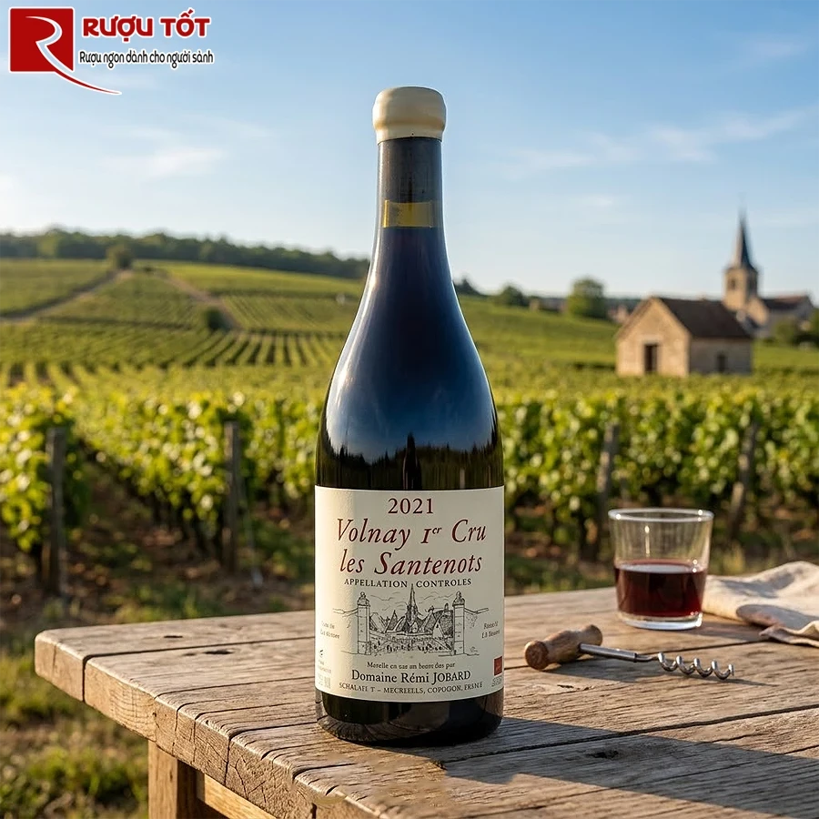Rượu vang Monthelie 1er Cru Les Vignes Rondes