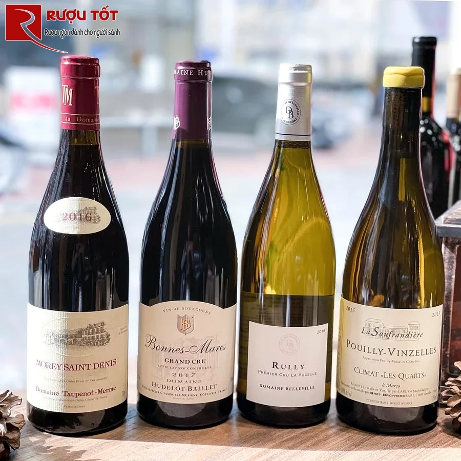 Rượu vang Morey Saint Denis Domaine Taupenot Merme