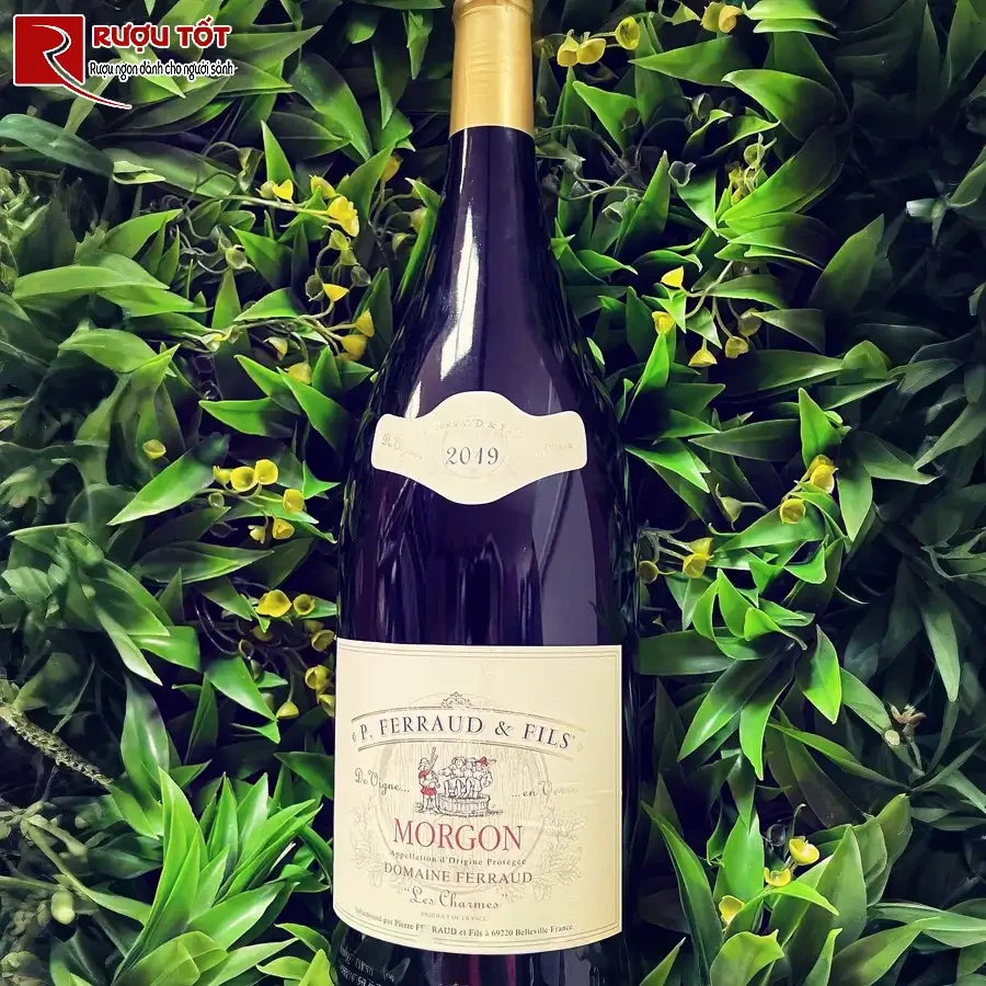 ruou vang morgon domaine ferraud les charmes