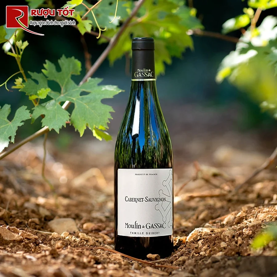 Rượu vang Moulin de Gassac Cabernet Sauvignon