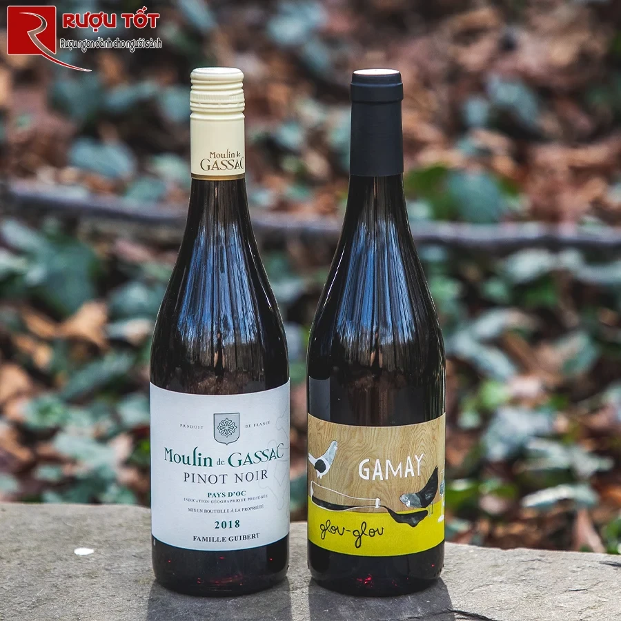 Rượu vang Moulin de Gassac Pinot Noir-1