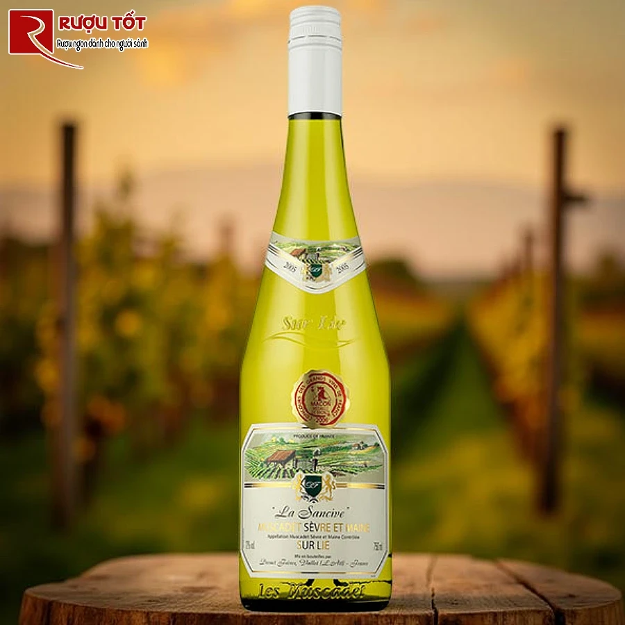 ruou vang muscadet sevre et maine sur lie la sancive