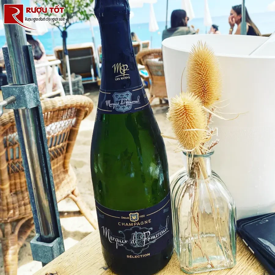 ruou vang no marquis de pomereuil brut cuvee selection
