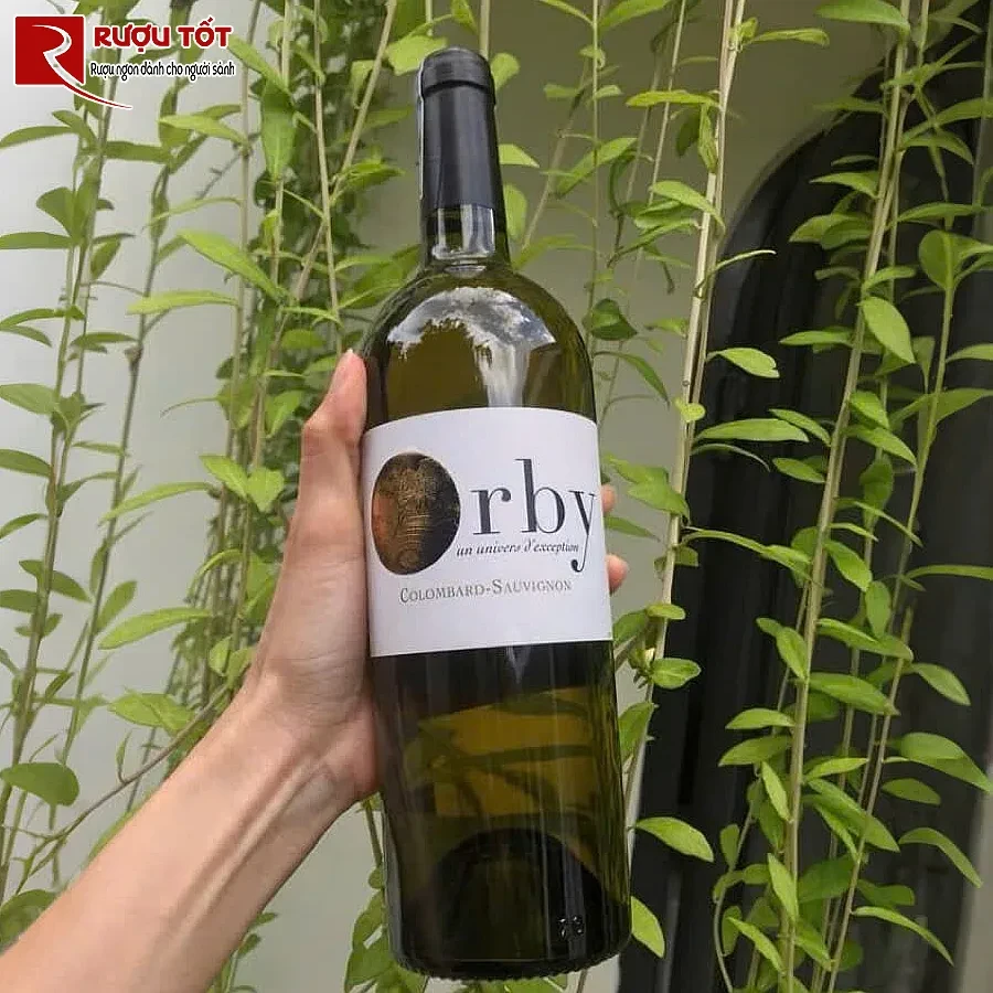 ruou vang orby colombard sauvignon bordeaux