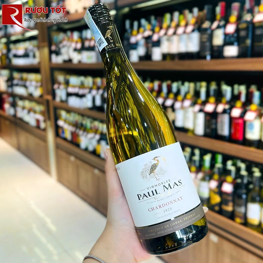 Rượu vang Paul Mas Chardonnay